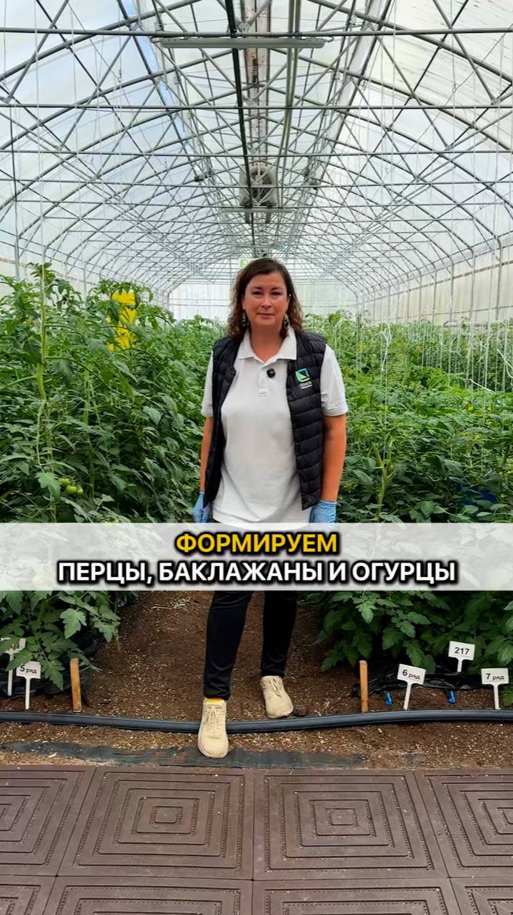 Формируем для богатого урожая перцы, баклажаны и огурцы!