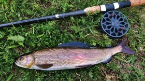 Таежная рыбалка/ Хариус/ Открытие сезона 2025г./Нашел планшет с мухами!