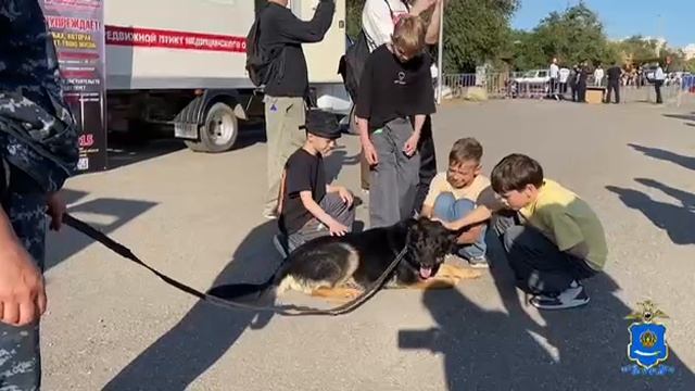 Стражи порядка организовали интерактивные площадки на Дне молодежи смотреть онлайн