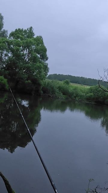 Atata от 11lures на джиг-риговом монтаже