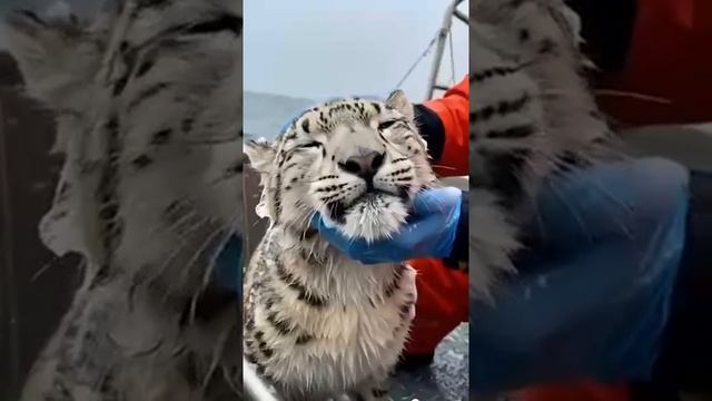 Символ бесконечности смотреть онлайн