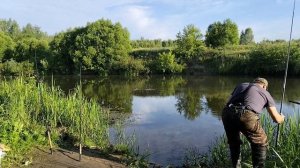 Рыбалка в конце июня на реке Которосль