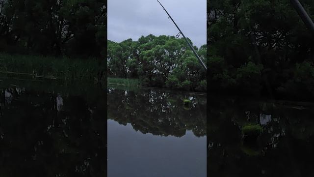 Окуни на самодельный чаттербейт