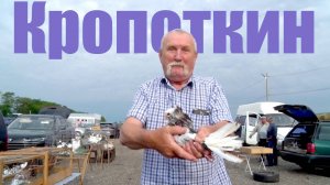 Птичий рынок. Кропоткин - новое место (Магистральная 1). [29.06.2025]