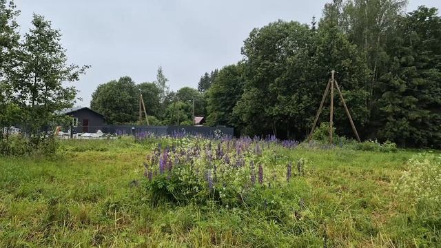 Участок лампово