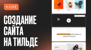 Создание сайта на Тильде — май 2025