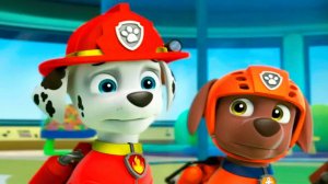 ЩЕНЯЧИЙ ПАТРУЛЬ - БУХТА ПРИКЛЮЧЕНИЙ