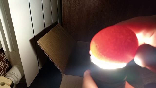 Инкубация. 14 день. Овоскопирование.