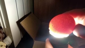 Инкубация. 14 день. Овоскопирование.