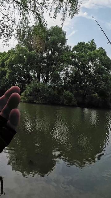 Пару слов о супер уловистой приманке FishTail