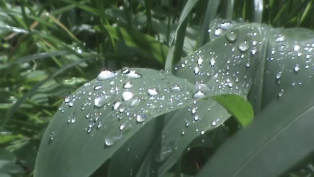 2011 Слет МИФИ микс