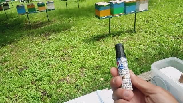 Внимание! Краска для маток подделка!