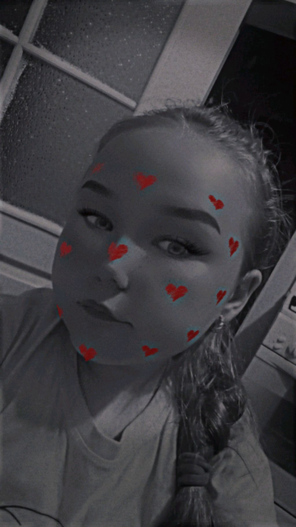 Реборн Стеша