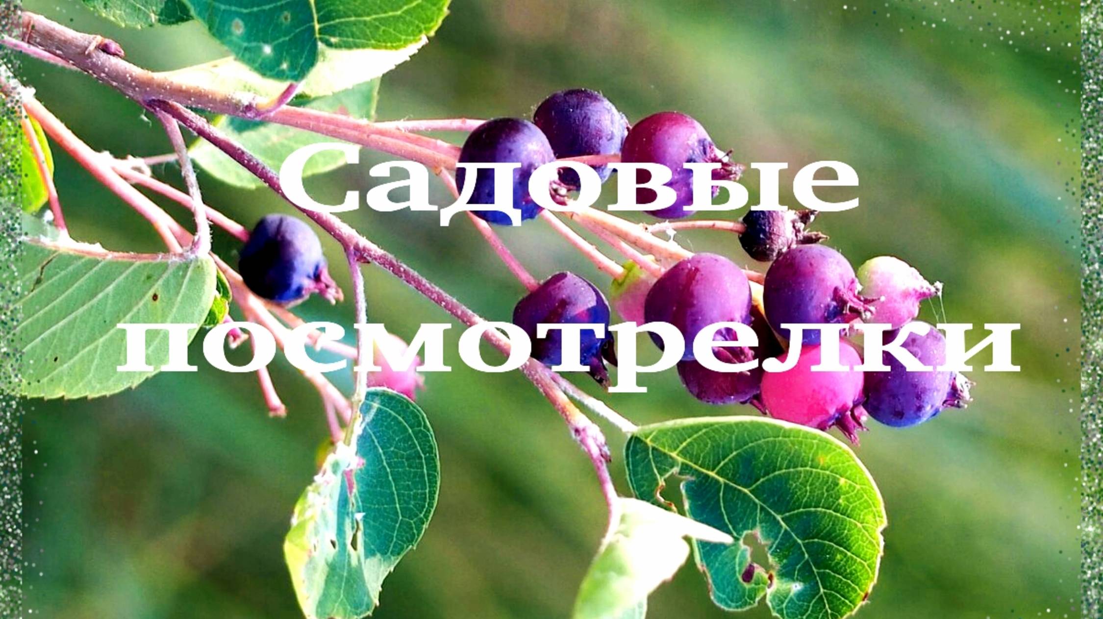 Садовые посмотрелки. 🌿 смотреть онлайн