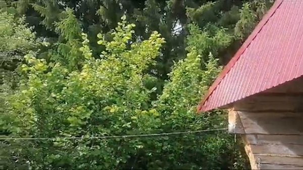 2_5235731525152036297