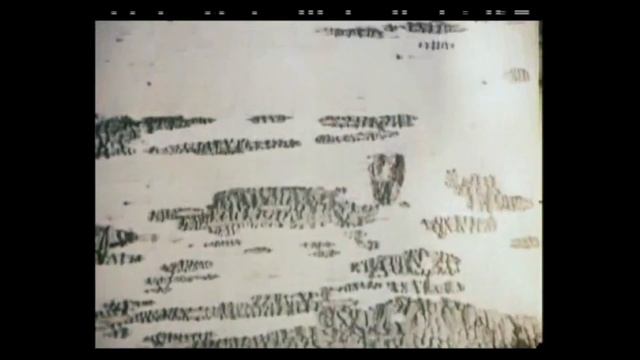 Любавин Сергей — Памяти В. Шукшина (95 лет со дня рождения Василия Шукшина) смотреть онлайн