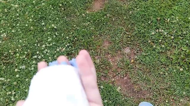 наш день с сквиш собачкой Джесси