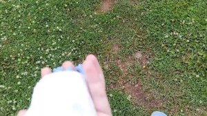 наш день с сквиш собачкой Джесси