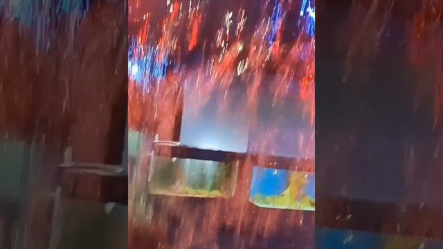 В жару прогулка возле водопада в океанариуме. смотреть онлайн