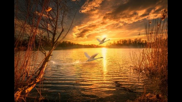 Ченнелинг. Шостакович Дмитрий Дмитриевич.  Русский вальс (Вальс №2)