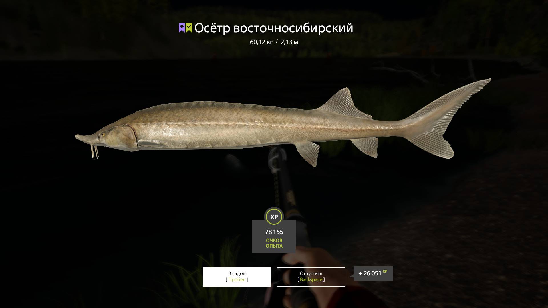 Русская рыбалка 4