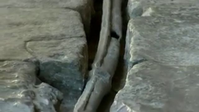 Headway Pre-Interm Unit 6 Romans in Britain 3