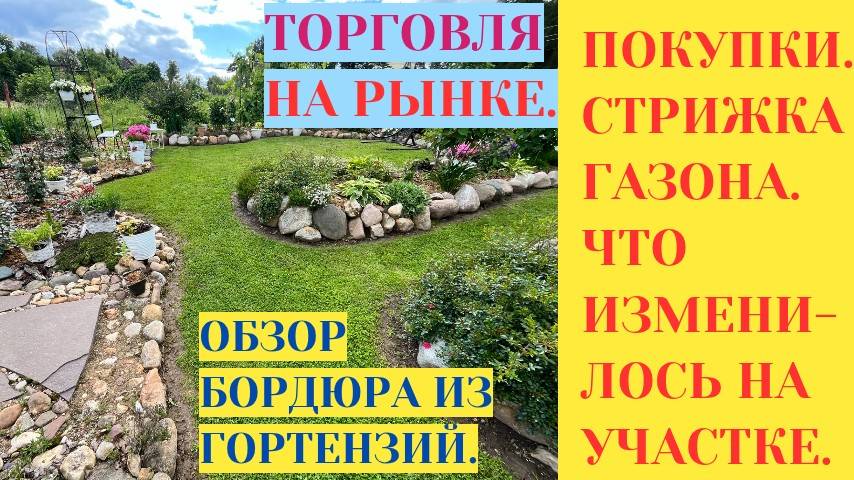 ОБЗОР БОРДЮРА ИЗ ГОРТЕНЗИЙ / ПОКУПКИ / ТОРГОВЛЯ НА РЫНКЕ