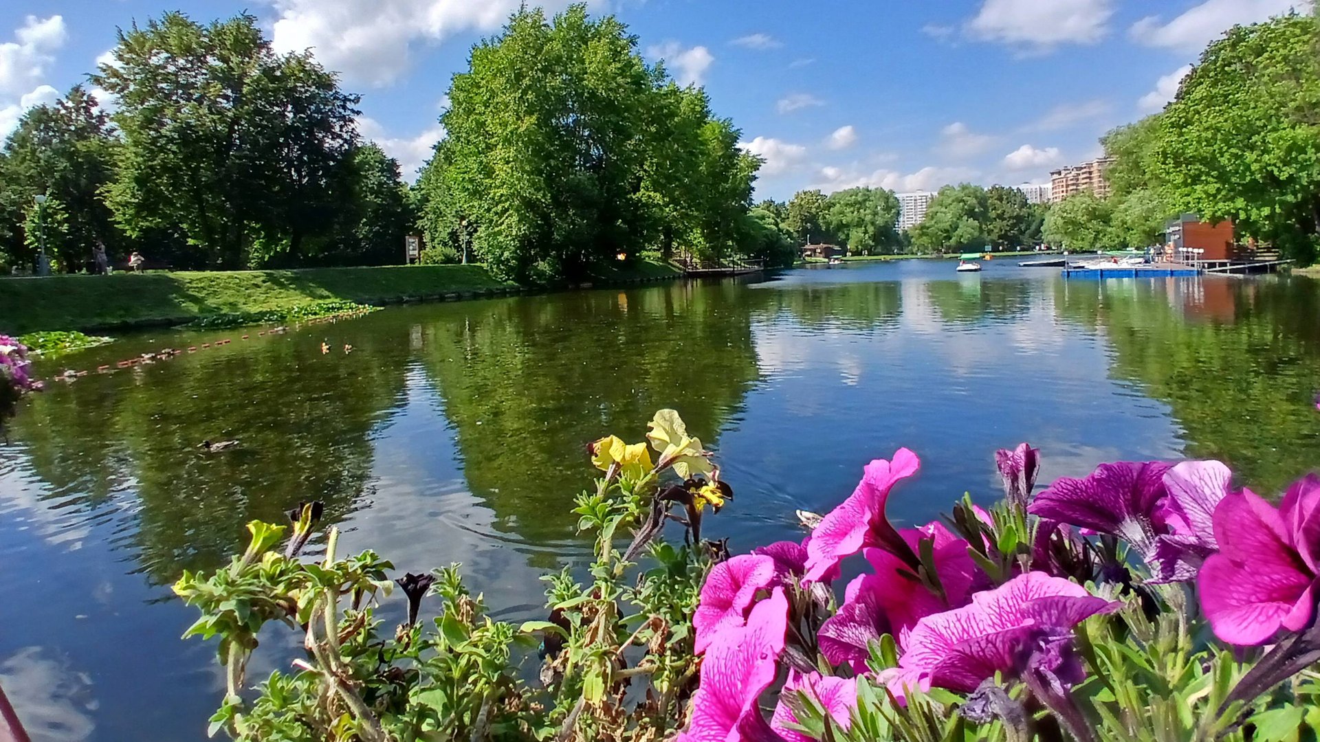 БОЛЬШОЙ ВОРОНЦОВСКИЙ ПРУД смотреть онлайн