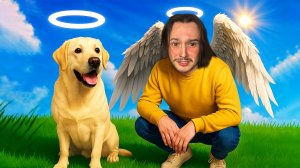 КУДА ПОПАДАЮТ НАШИ СОБАКИ КОГДА УМИРАЮТ... (My Little Puppy)