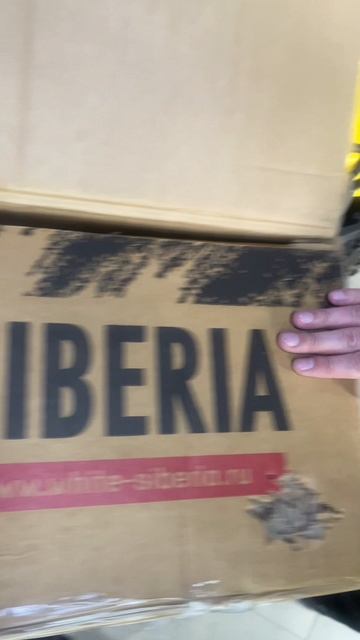 Распаковка электровелосипеда!!! #whitesiberia#электротранспорт#электровелосипед#асмр#распаковка смотреть онлайн