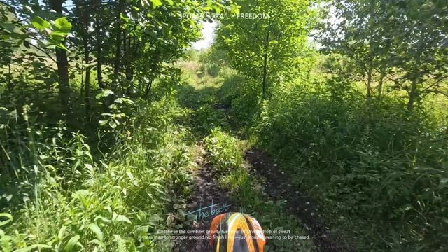 На лайте.mp4 смотреть онлайн