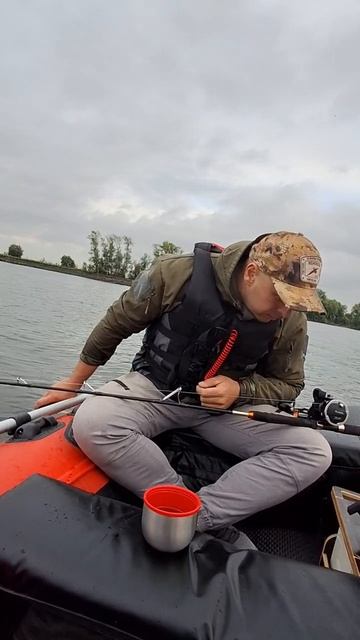 Сом на квок