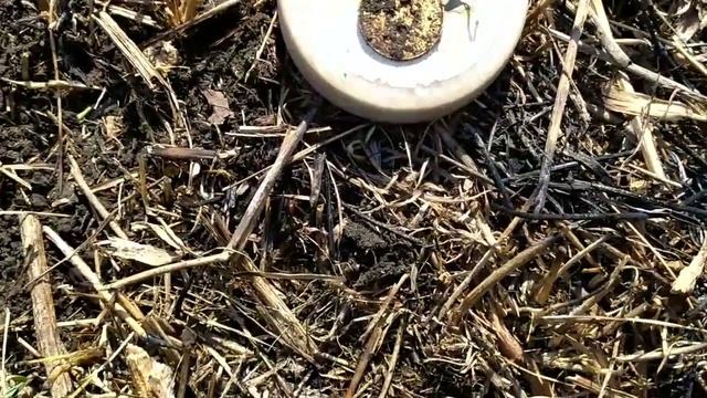 ДЕНЬ НИКОЛАЕВСКОГО СЕРЕБРА!!!! СТОЛЬКО ЕЩЁ НЕ НАХОДИЛ!!! КОП С Minelab X-Terra 705.. смотреть онлайн