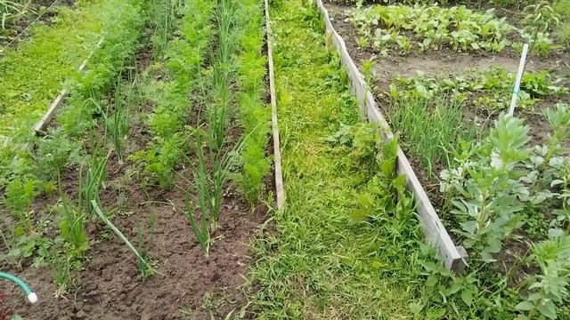 Погоды нет. И лета нет. смотреть онлайн