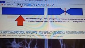 3-5-3  WHILE-потоки  пластичного вещества