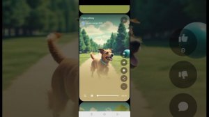 Собачья жизнь