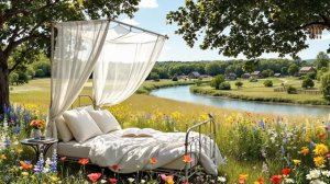 Атмосфера летнего луга — спокойные звуки природы: птицы, пчёлы, цикады и ветер для сна и чтения