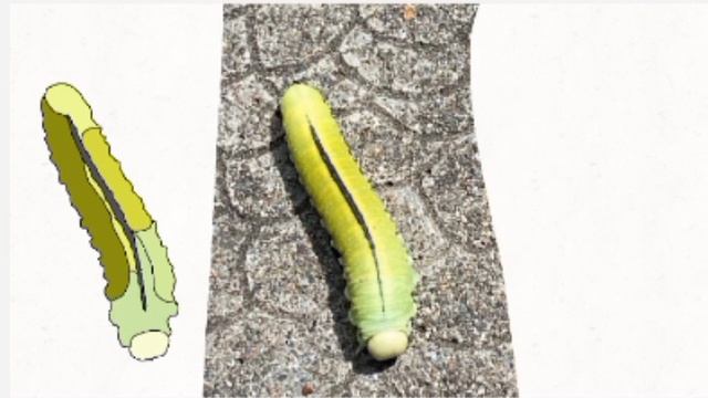 Реальность но это рисунки смотреть онлайн