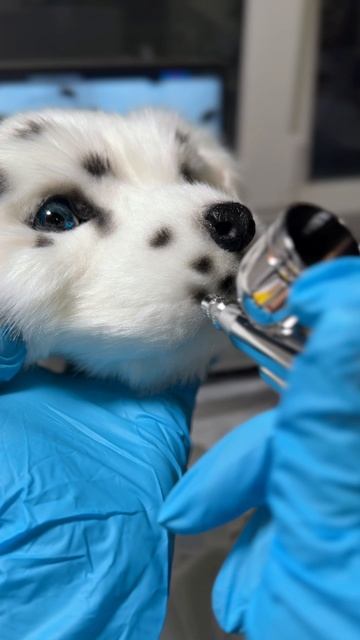 Реалистичный подвижный щенок далматина