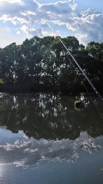 Каждый в праве гордиться любой пойманной рыбой