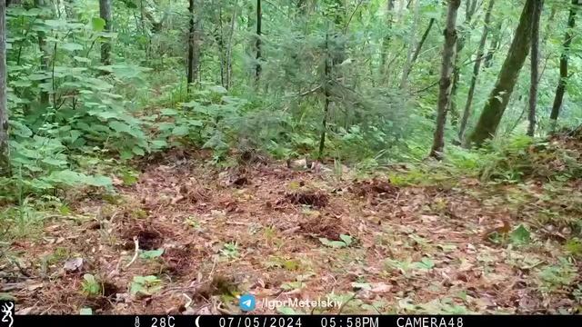 Зачем же так пугать-то? смотреть онлайн