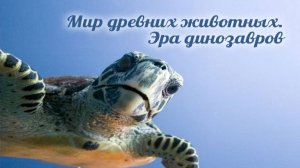 Динозавры # 1.7. Носороги мира динозавров