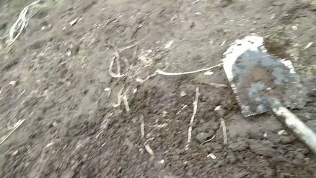 МЕСТО СТАРОЕ, А НАХОДКИ НОВЫЕ!!! Поиск монет с Minelab X-Terra 705...2020.. смотреть онлайн