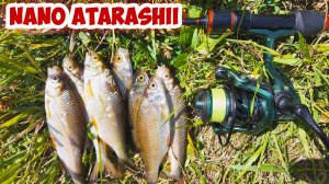 Мормышинг на речке с Dayo Nano Atarashii.