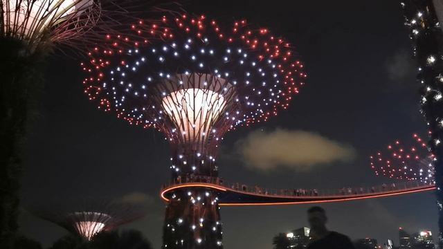 Сингапур: музыкально-световое шоу в Садах у Залива (без фильтров, правок, монтажа) смотреть онлайн