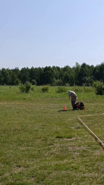 JARA Team Carrera - №23. КЧК ИРКУТСК 21 июня`25 А.Буйнова Моно н/о