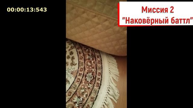 Кото-Миссия выполнима