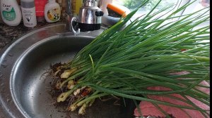 Дела идут, ждём лето