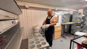 Участок забоя перепелов.mp4