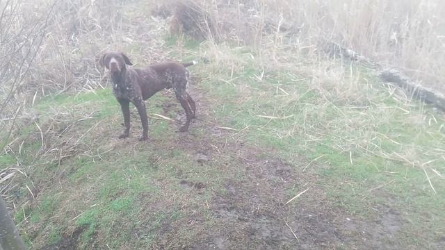 Пёс на дороге 1 сезон 3 серия мп